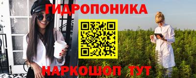 крисы Гусь-Хрустальный