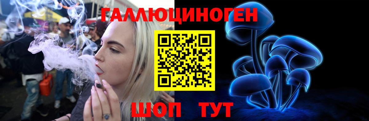 Галлюциногенные грибы Cubensis Дагестанские Огни